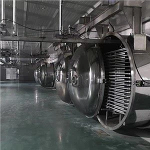 Máy sấy đông lạnh thực phẩm công suất lớn 100kg