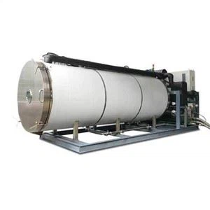 Máy sấy đông lạnh cam công nghiệp