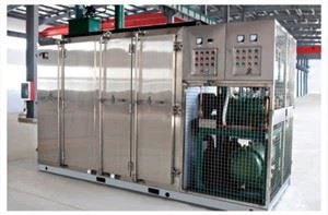Tủ đông đường hầm cấp đông nhanh công nghiệp