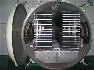 Máy sấy đông lạnh dâu tây chân không với giá tốt nhất