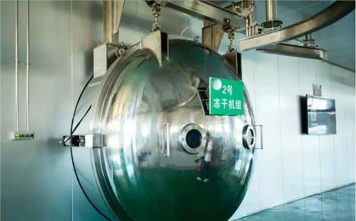 Lyophilizer y tế