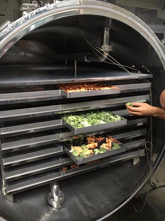Customized Vacuum Food Freeze Dryer