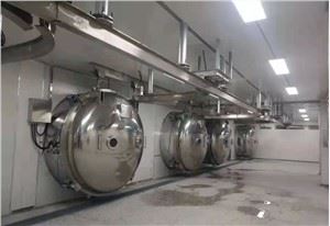 Máy sấy đông lạnh công nghiệp Aginomoto và đường dạng hạt