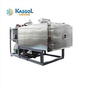 Máy sấy đông lạnh chân không loại thực phẩm
